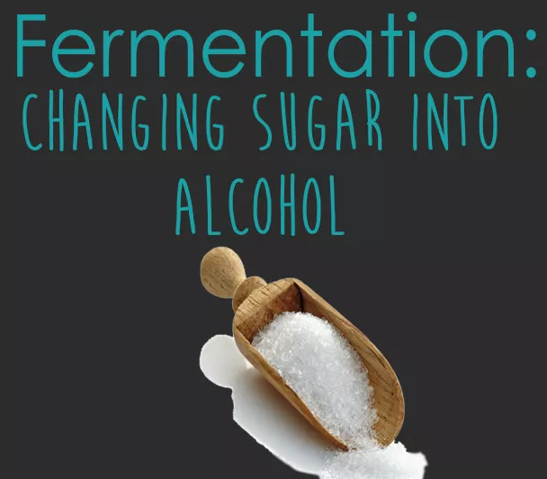 葡萄酒糖分越高，酒精度就越低？